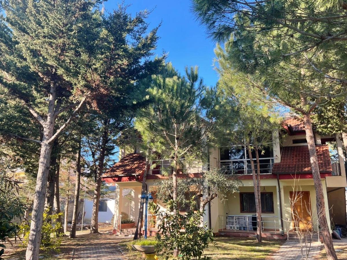 Hotel Garden Villa ARDO Golem  Exteriör bild